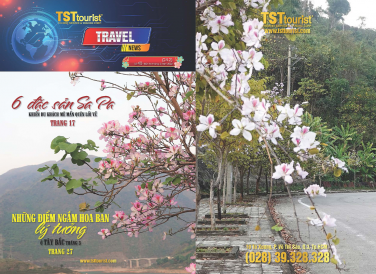 TSTtourist - E - Magazine số 40 (24/02/2022)