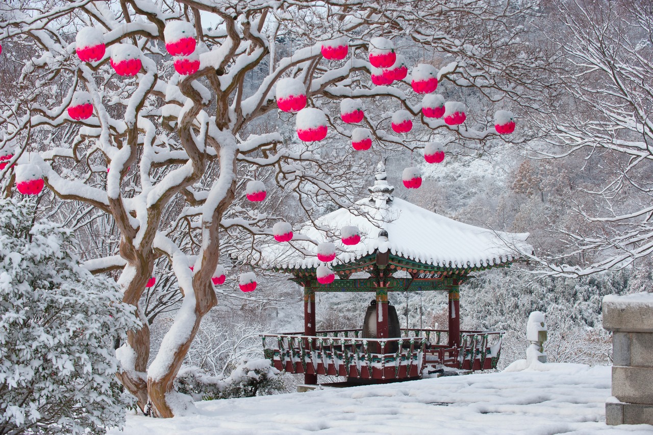 Mê mẩn mùa đông tuyết trắng ở Hàn
