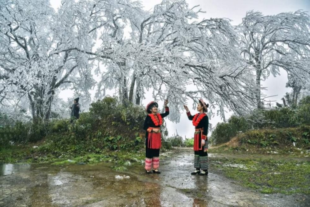 TSTtourist-bang-gia-tren-dinh-phja-oac-cao-bang-thu-hut-hang-nghin-luot-nguoi-toi-chiem-nguong-5