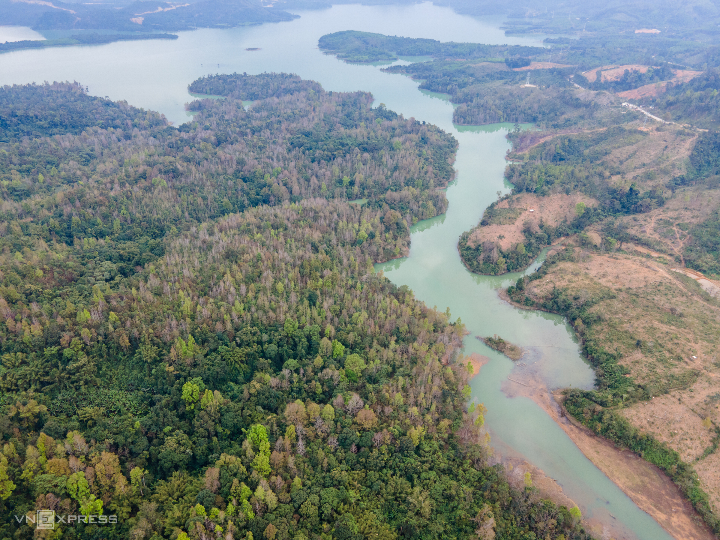 TSTtourist-rung-sau-sau-mua-thay-la-1