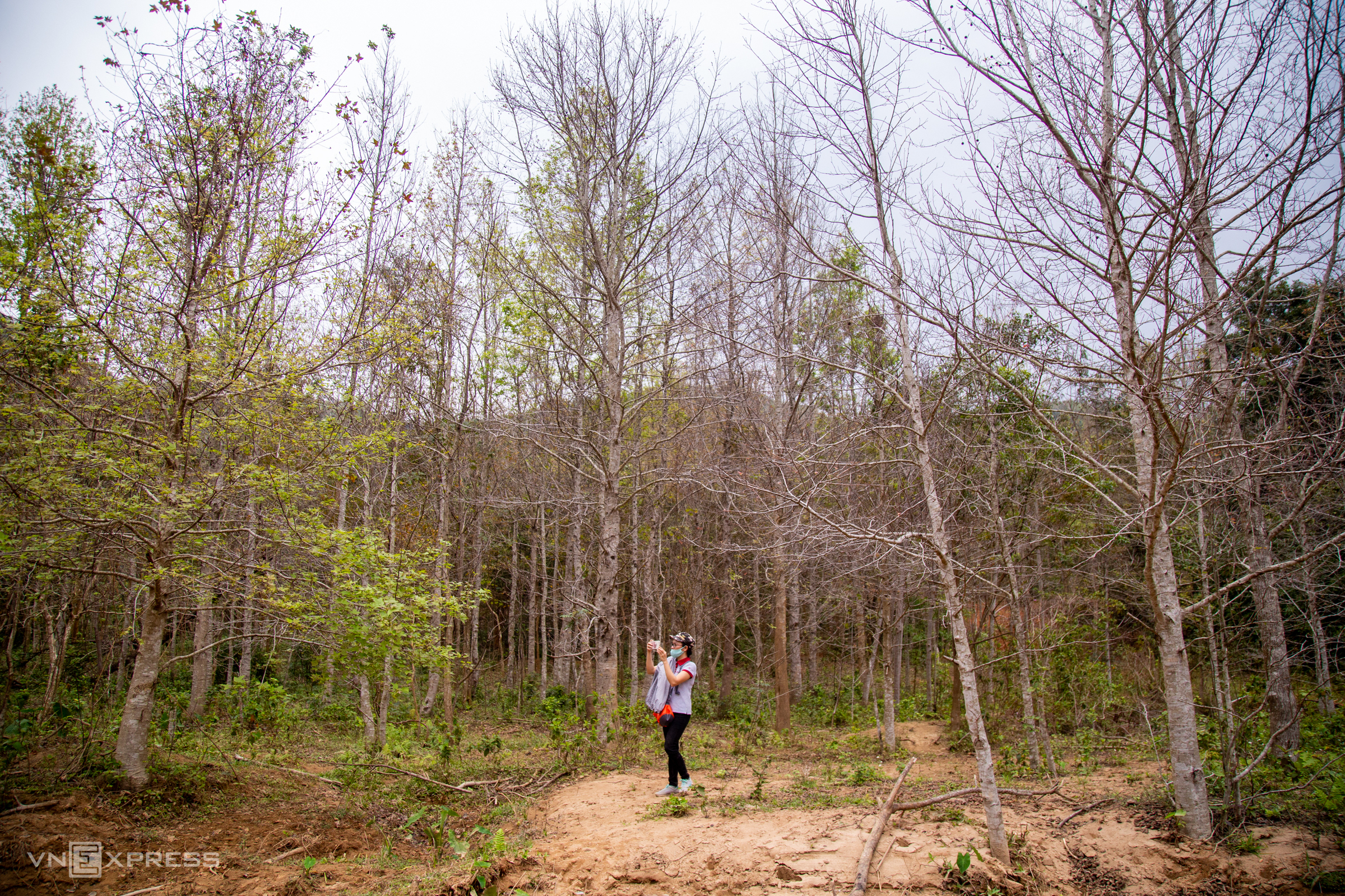 TSTtourist-rung-sau-sau-mua-thay-la-2