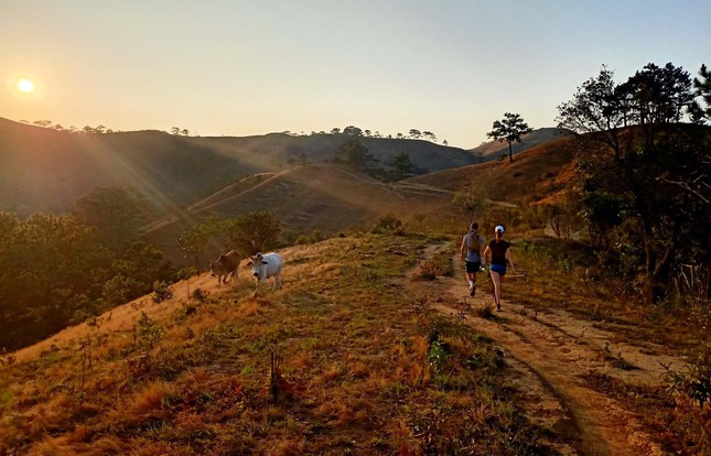 TSTtourist-xu-huong-du-lich-gan-gui-thien-nhien-len-ngoi-da-lat-thu-hut-khach-quoc-te-6
