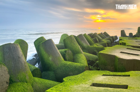 Mùa rêu ở bờ kè biển Quảng Ngãi thu hút khách với những khung hình đẹp