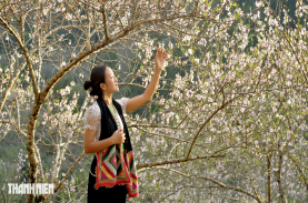 Thung lũng hoa đào nở muộn giữa nắng xuân Tây Bắc