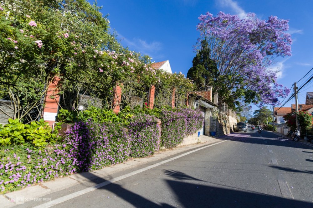 TSTtourist-cac-diem-ngam-phuong-tim-o-da-lat-7