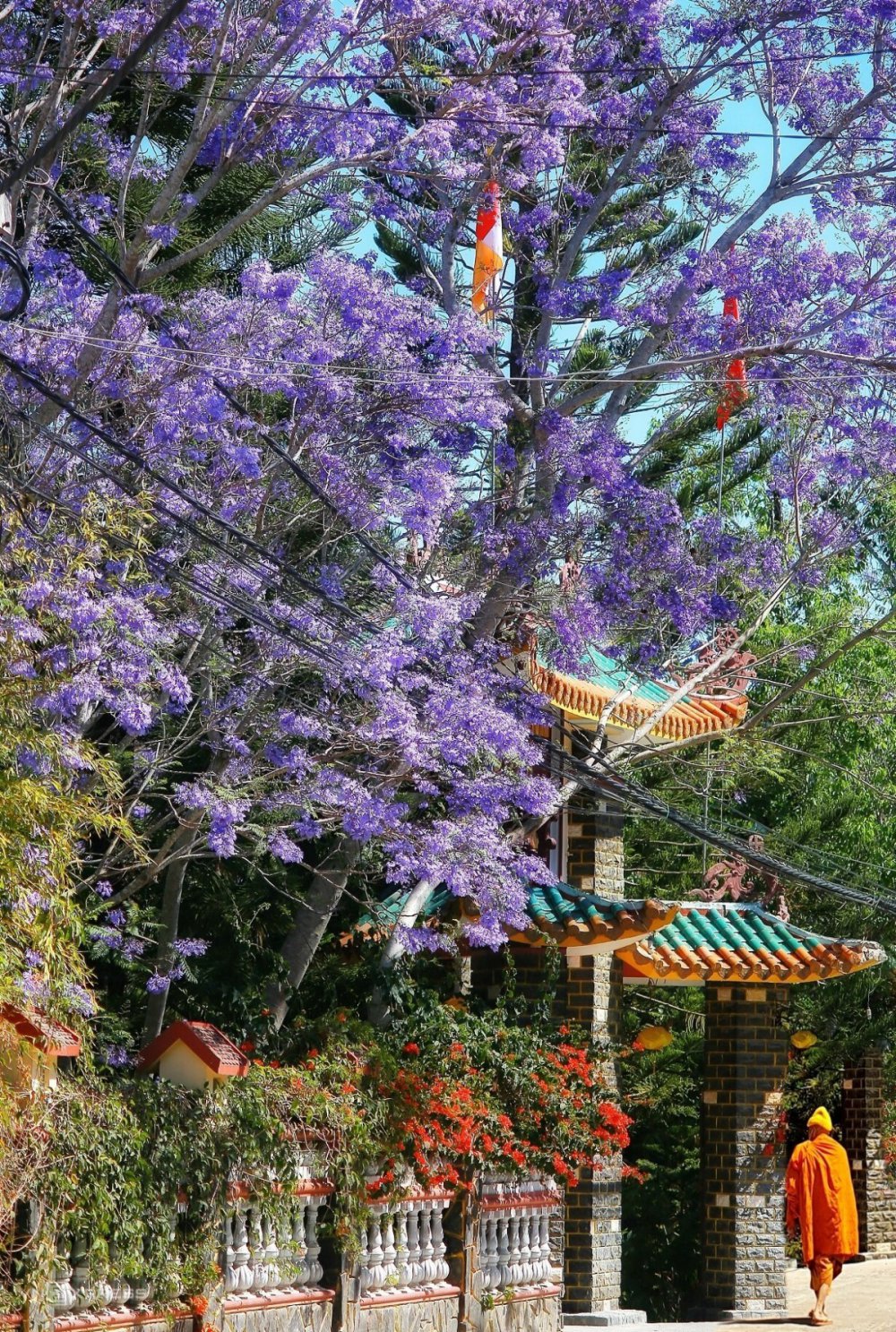 TSTtourist-cac-diem-ngam-phuong-tim-o-da-lat-8