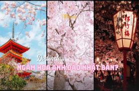 5 điểm ngắm mùa hoa anh đào Nhật Bản