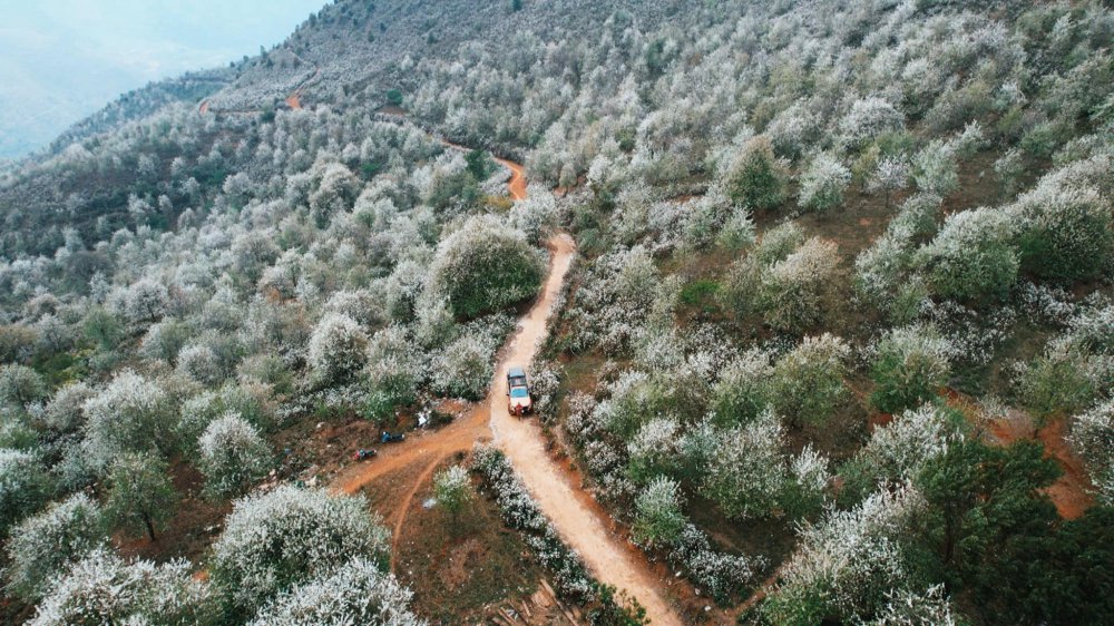 TSTtourist-vo-chong-mang-ca-nha-di-xuyen-viet-hai-thang-2