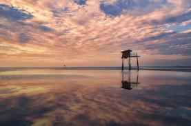 Một ngày vi vu 'ốc đảo xanh' Cần Giờ