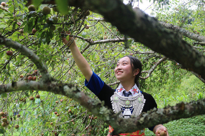 TSTtourist-ngay-hoi-hai-man-o-cong-troi-xu-nghe-1