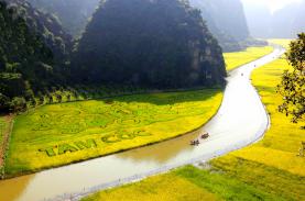 Ninh Bình kín phòng trong tuần du lịch "Sắc vàng Tam Cốc - Tràng An"