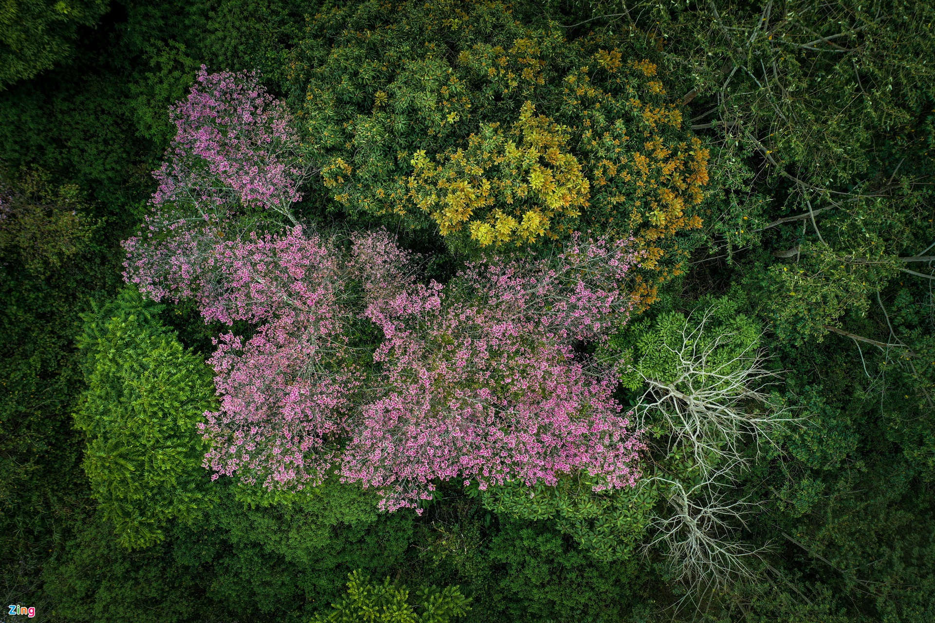 TSTtourist-Lam-Dong-ngoai-Da-Lat-1