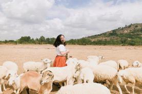 Khám phá điểm đến ngày hè: Đồng cừu ở Đồng Nai