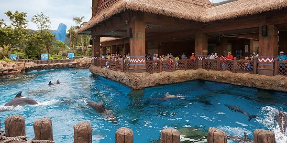 TSTtourist-kham-pha-10-thuy-cung-lon-nhat-the-gioi-1