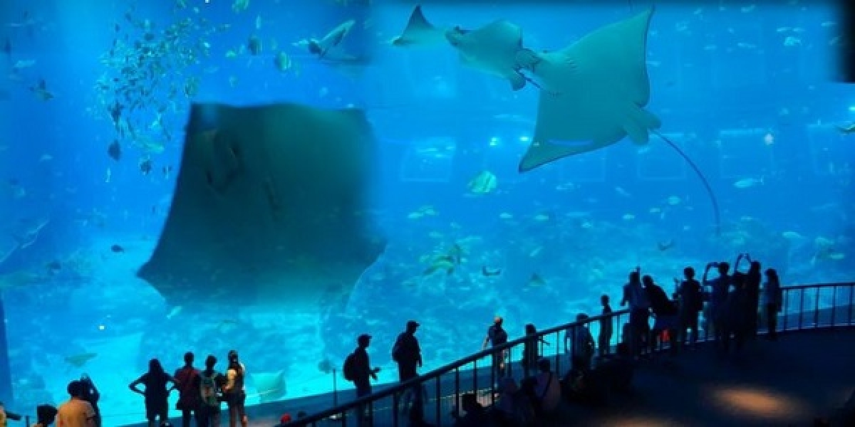 TSTtourist-kham-pha-10-thuy-cung-lon-nhat-the-gioi-2