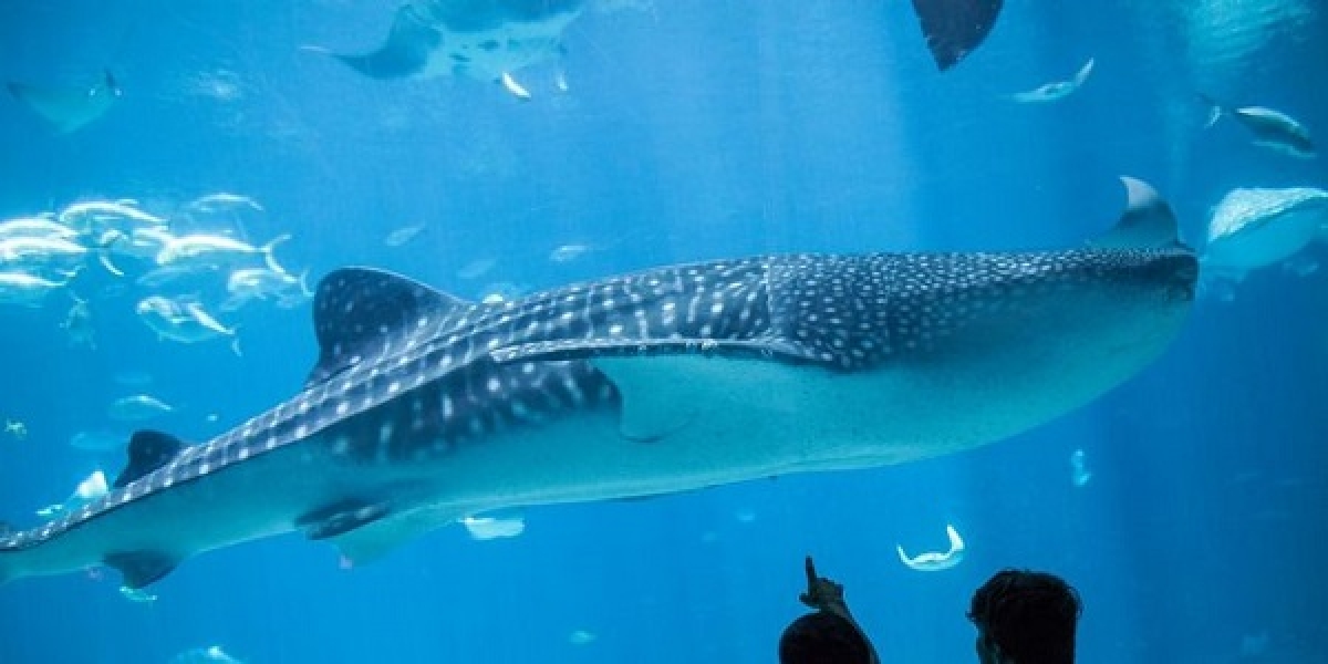 TSTtourist-kham-pha-10-thuy-cung-lon-nhat-the-gioi-4