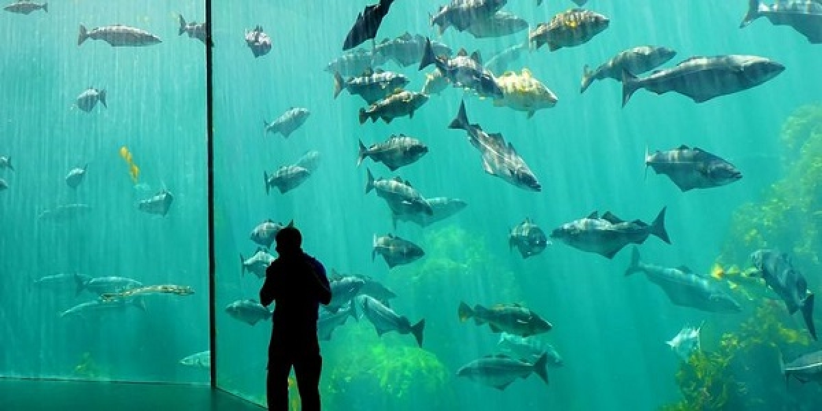 TSTtourist-kham-pha-10-thuy-cung-lon-nhat-the-gioi-9_1