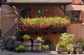 Những góc phố đầy hoa ở Pháp dưới ống kính khách Việt