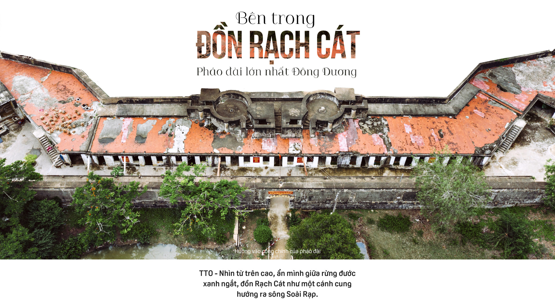 Don-rach-cat-1