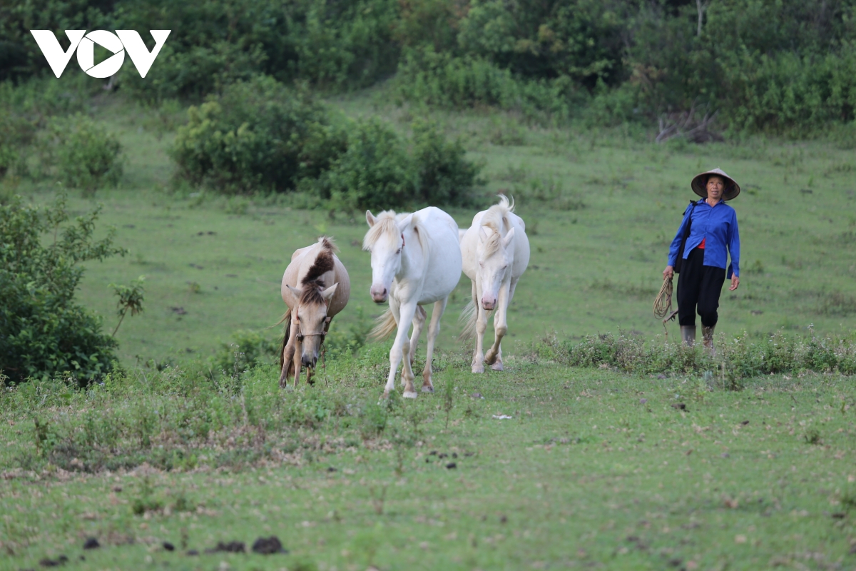 TSTtourist-den-tham-vuong-quoc-ngua-bach-xu-lang-1