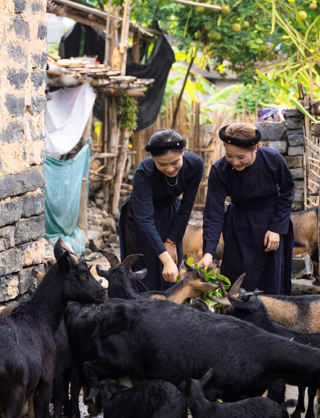 TSTtourist-nhip-song-o-lang-da-co-na-vi-8