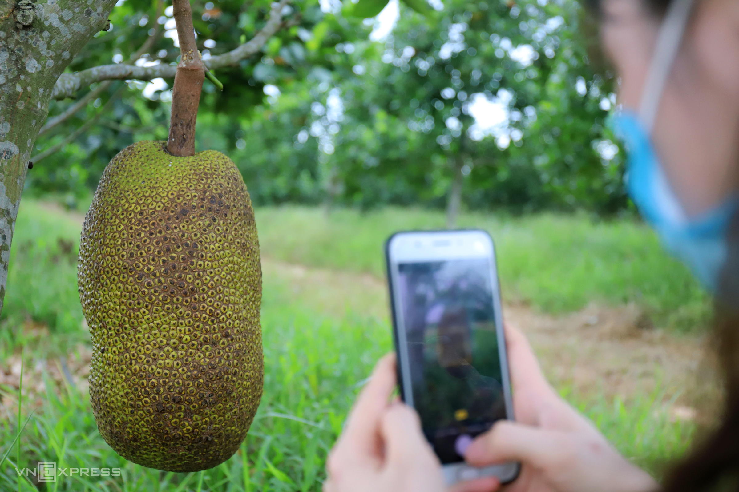 TSTtourist-noi-du-khach-bo-pho-len-rung-o-ha-tinh-7