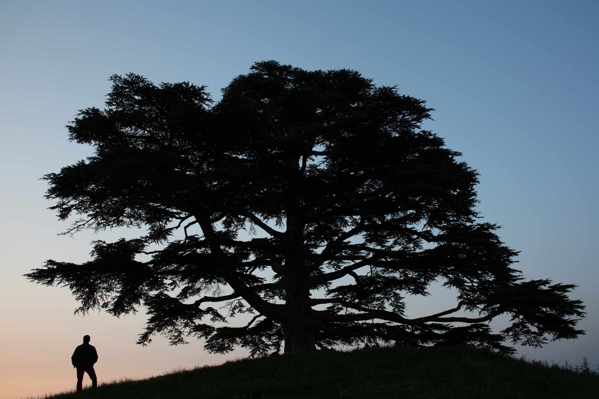 TSTtourist-rung-tuyet-tung-cua-chua-o-lebanon-6