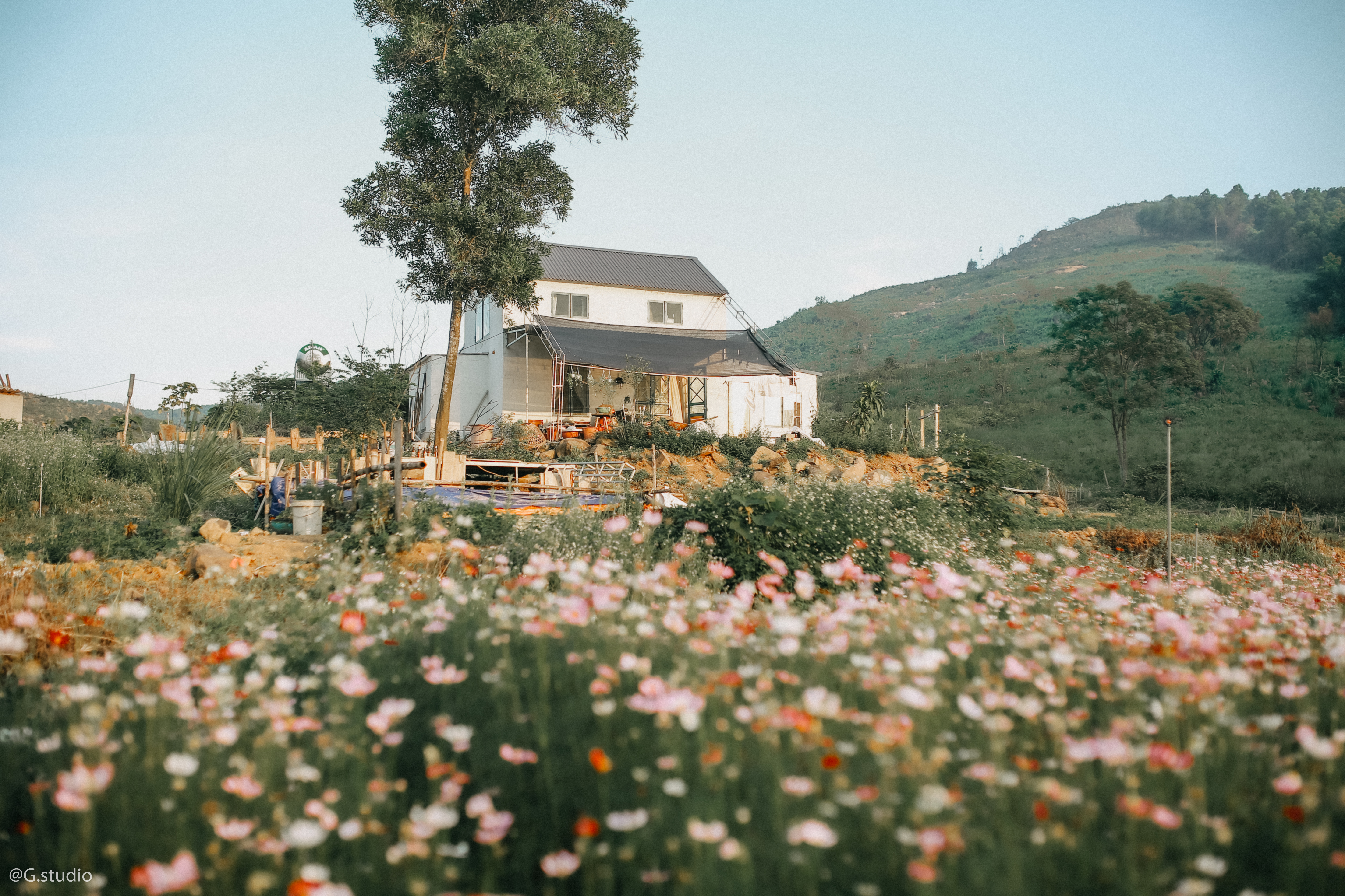 TSTtourist-vo-chong-thanh-hoa-bo-pho-ve-ngon-doi-khong-dien-luoi-lam-ngoi-nha-dep-nhu-homestay-da-lat-1