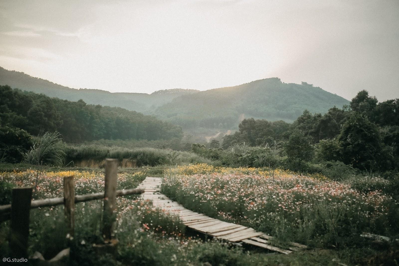 TSTtourist-vo-chong-thanh-hoa-bo-pho-ve-ngon-doi-khong-dien-luoi-lam-ngoi-nha-dep-nhu-homestay-da-lat-10