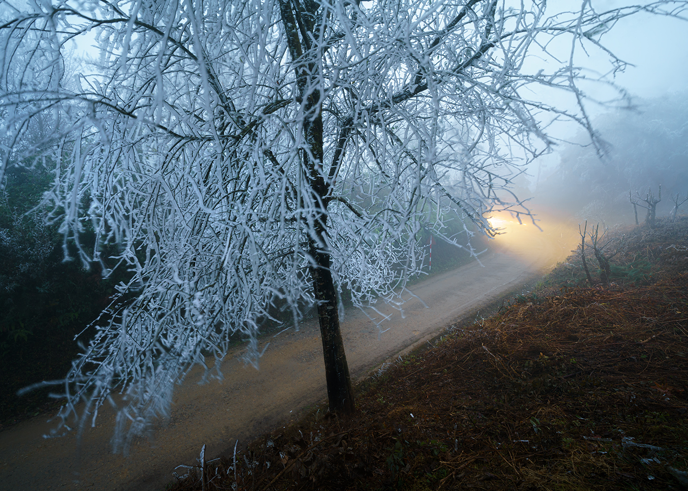 tsttourist-san-tuyet-o-nhiu-co-san-2