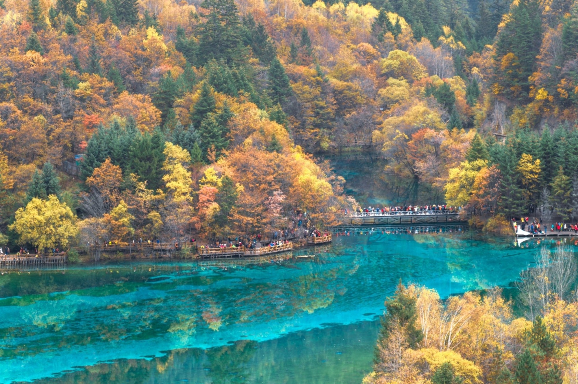 Vẻ đẹp siêu thực giúp Cửu Trại Câu trở thành một trong những điểm đến hấp dẫn nhất mùa thu Trung Quốc
