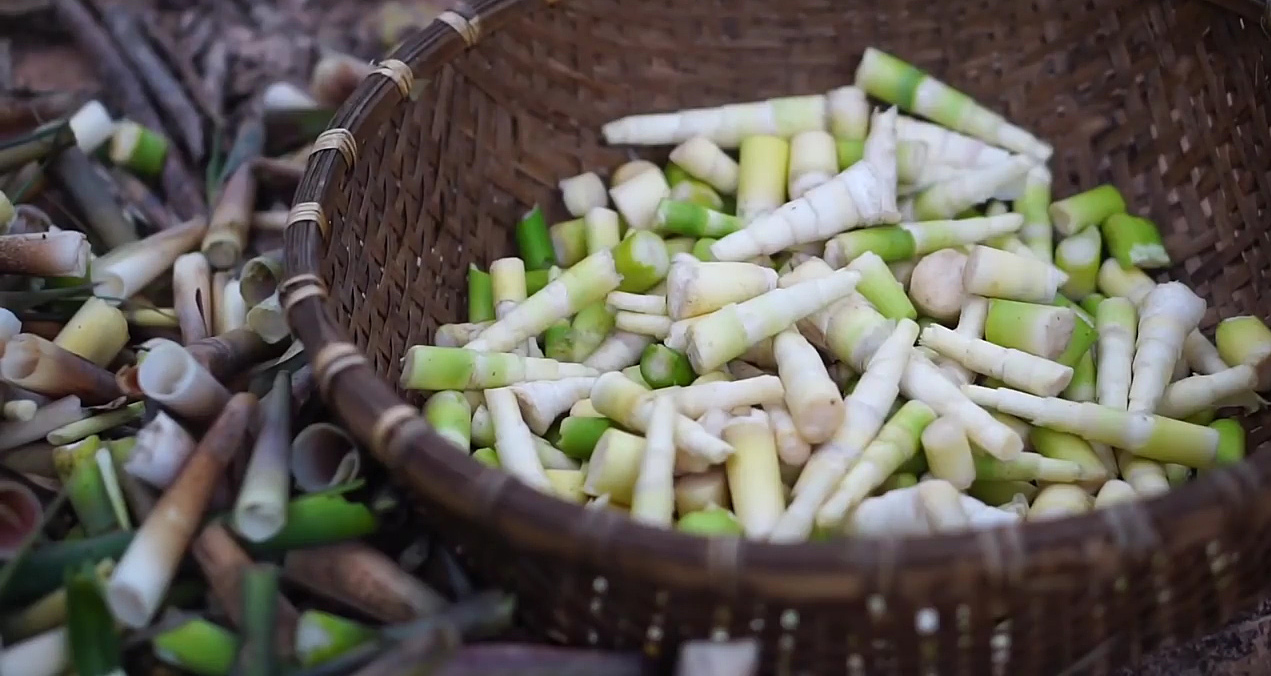 TSTtourist-mon-ngon-dan-da-tu-mang-le-trong-rung