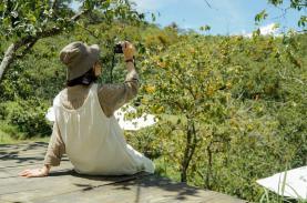 Quán cà phê ngắm mùa hồng chín ở Đà Lạt