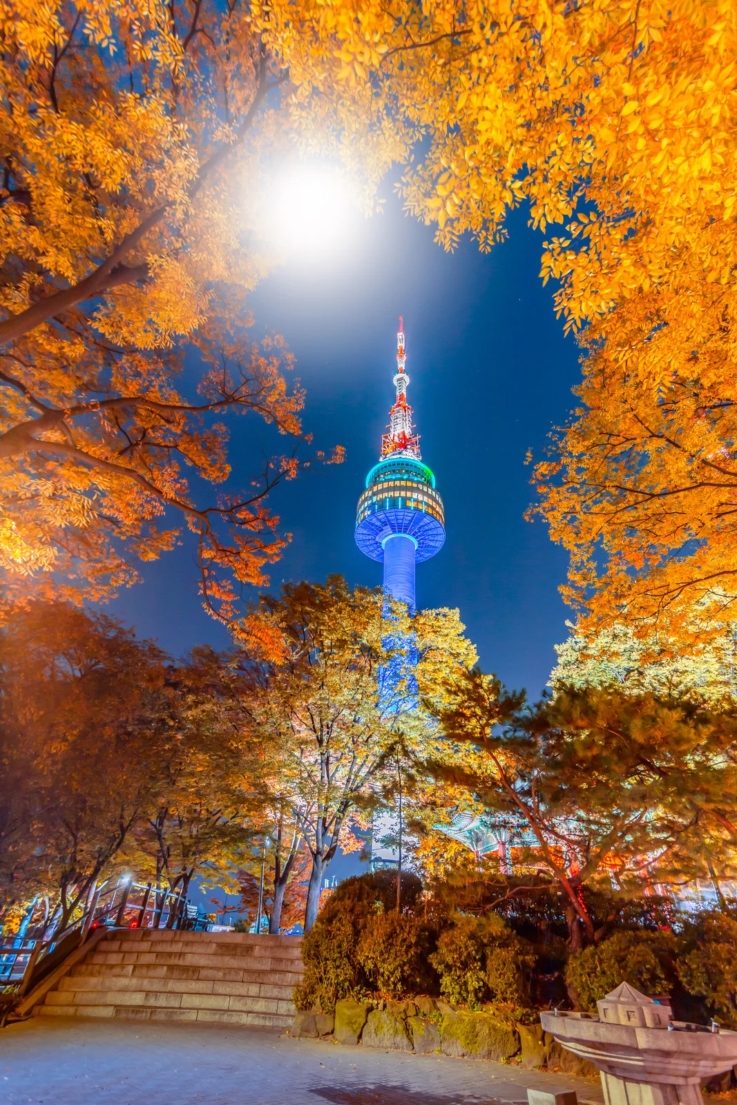 Mùa thu tô thắm vẻ đẹp tráng lệ của tháp Namsan
