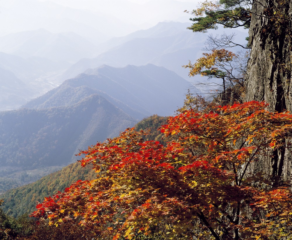 1-Mt.Seoraksan-in-Autumn