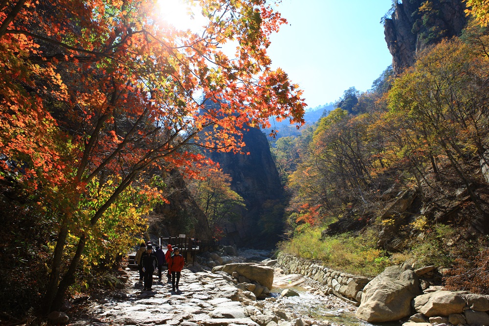 3-Mt.Seorak-in-Autumn