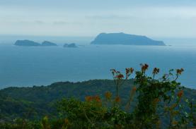 Thành lập khu bảo tồn biển Cô Tô, Đảo Trần