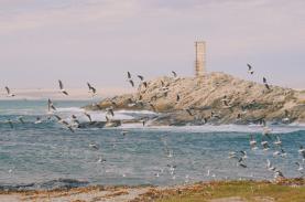 Khách Việt vừa rời Namibia đã muốn quay lại