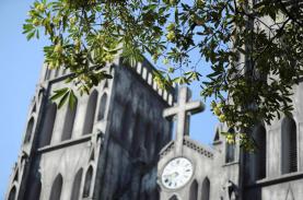 Mùa thu Hà Nội, mùa hoa sữa về