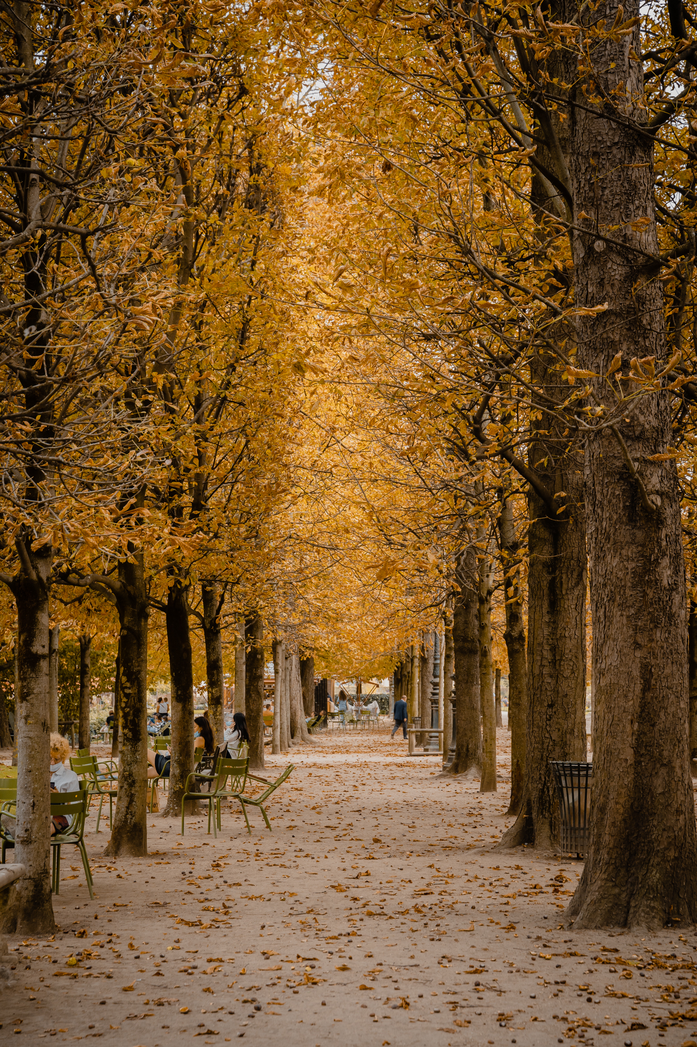 TSTtourist-thu-paris-duoi-ong-kinh-nhiep-anh-gia-viet-3