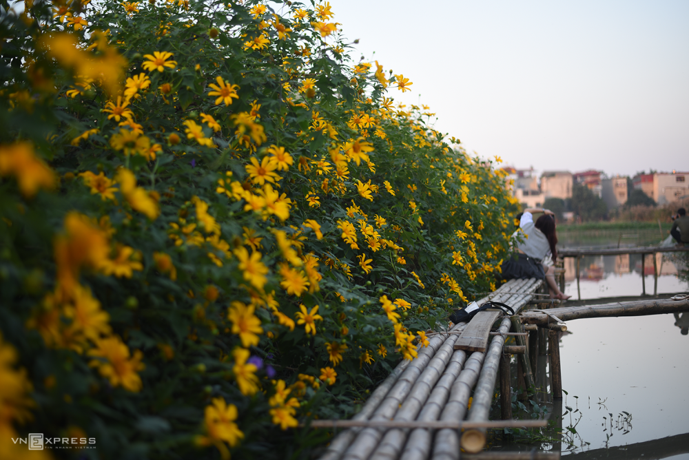 TSTtourist-vuon-da-quy-ruc-ro-giua-ha-noi-2