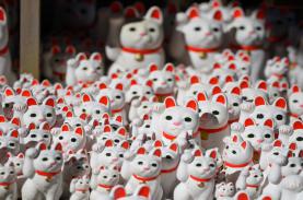 Ngôi đền có hàng nghìn tượng mèo vẫy tay ở Nhật Bản