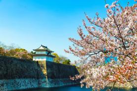 TST tourist tham gia Ngày hội du lịch Nhật Bản 2019 Tp.HCM