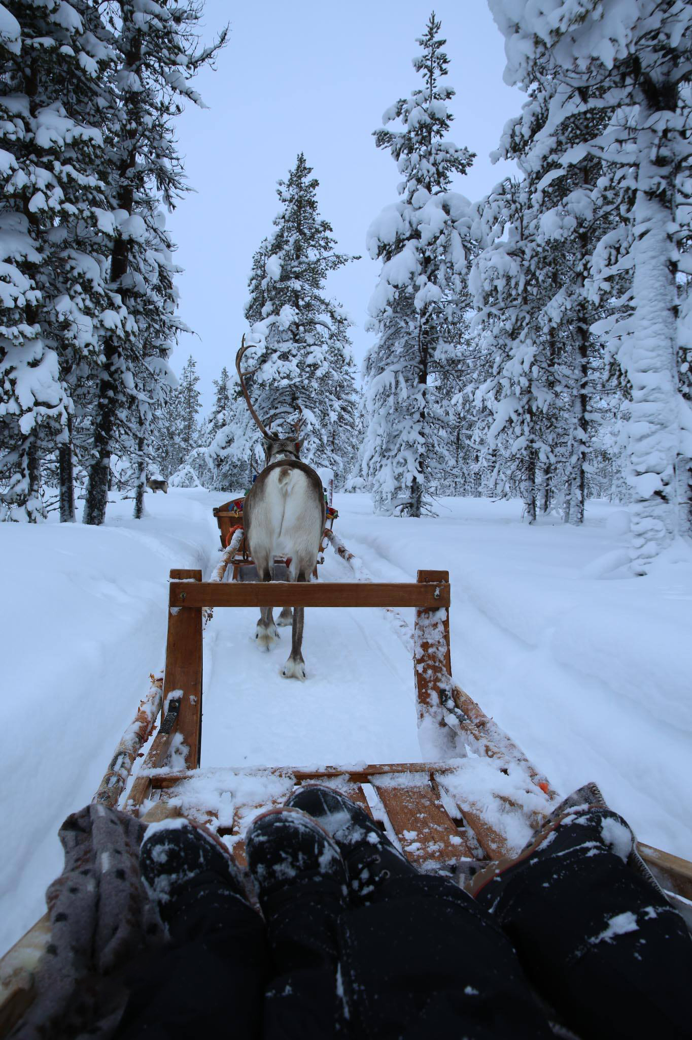 TSTtourist-chuyen-tham-xu-so-ba-chua-tuyet-cua-khach-viet-9