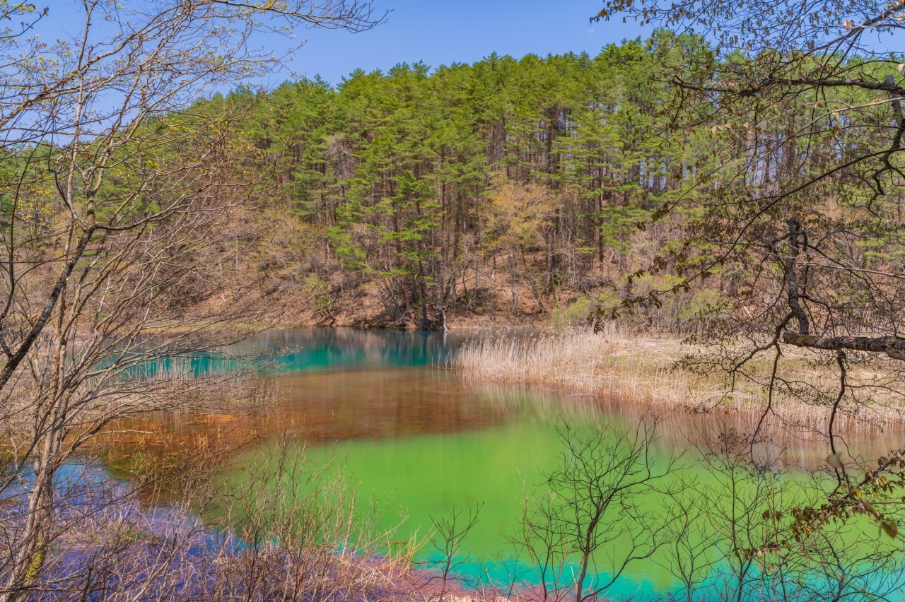 TSTtourist-ho-ngu-sac-duoi-chan-nui-lua-nhat-ban-1