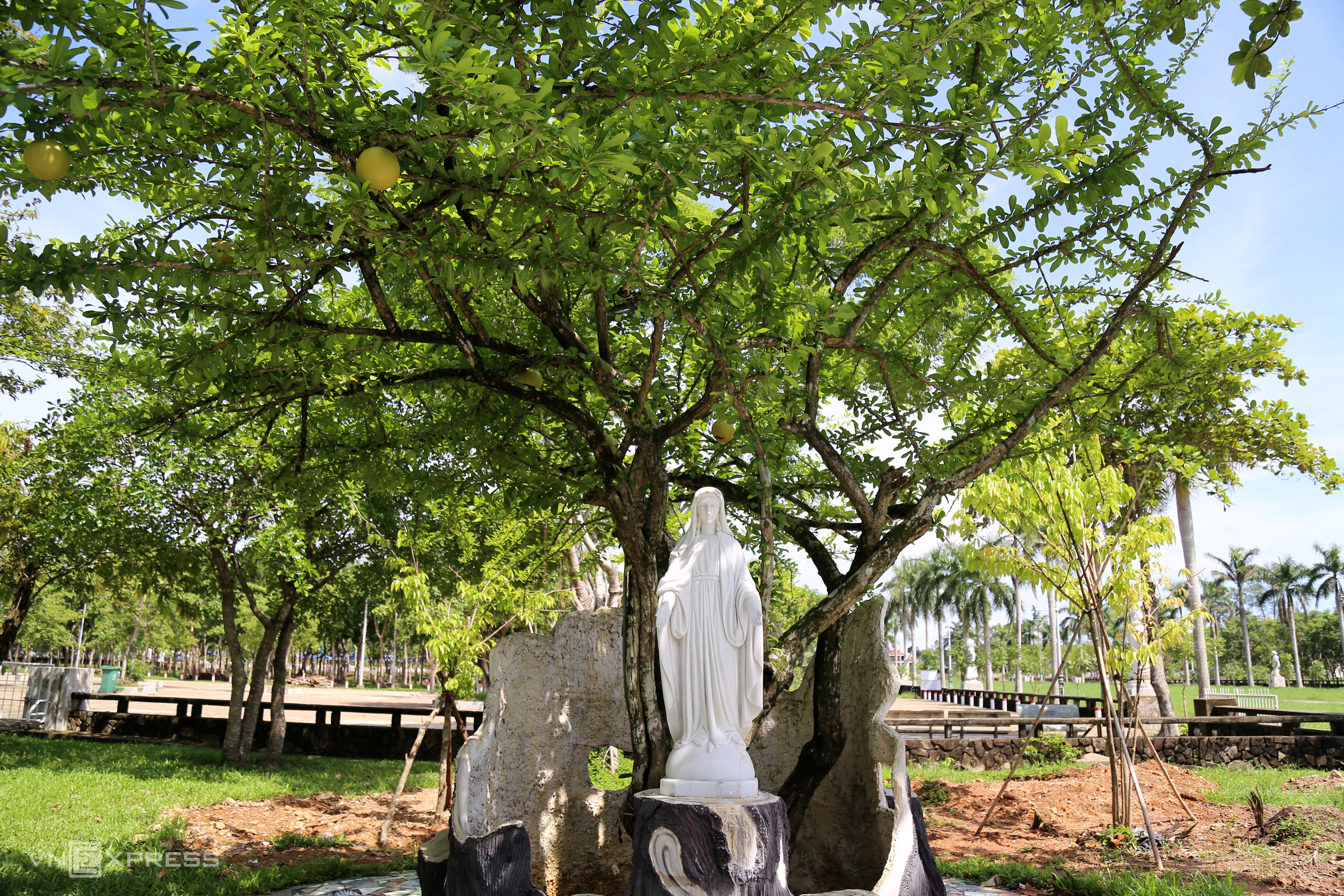 TSTtourist-thanh-dia-la-vang-don-giang-sinh-12