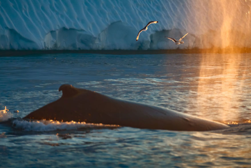 TSTtourist-ve-dep-bang-gia-cua-dao-lon-nhat-the-gioi-9