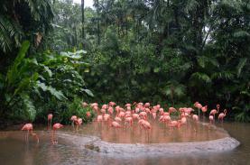 Những điểm đến nổi tiếng không thể ghé thăm năm 2023