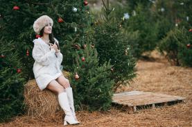 Vườn thông 2.000 cây ở Mộc Châu