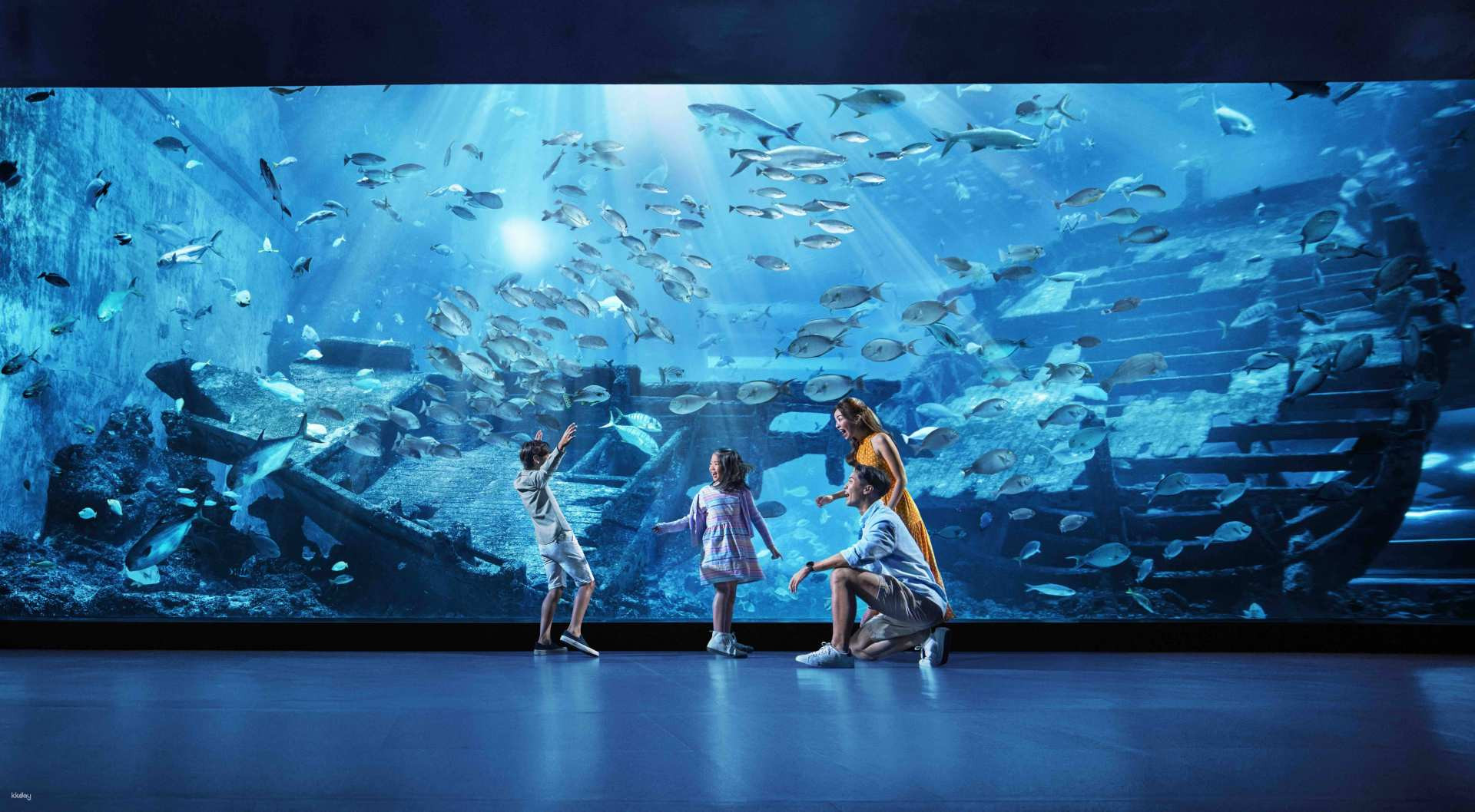 S.E.A Aquarium ngôi nhà của hàng triệu loài cá